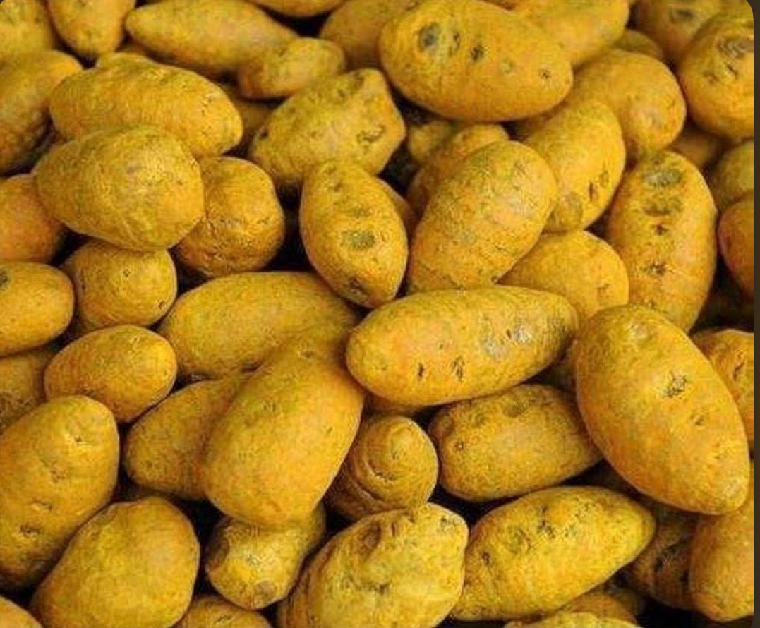 Turmeric Bulb 