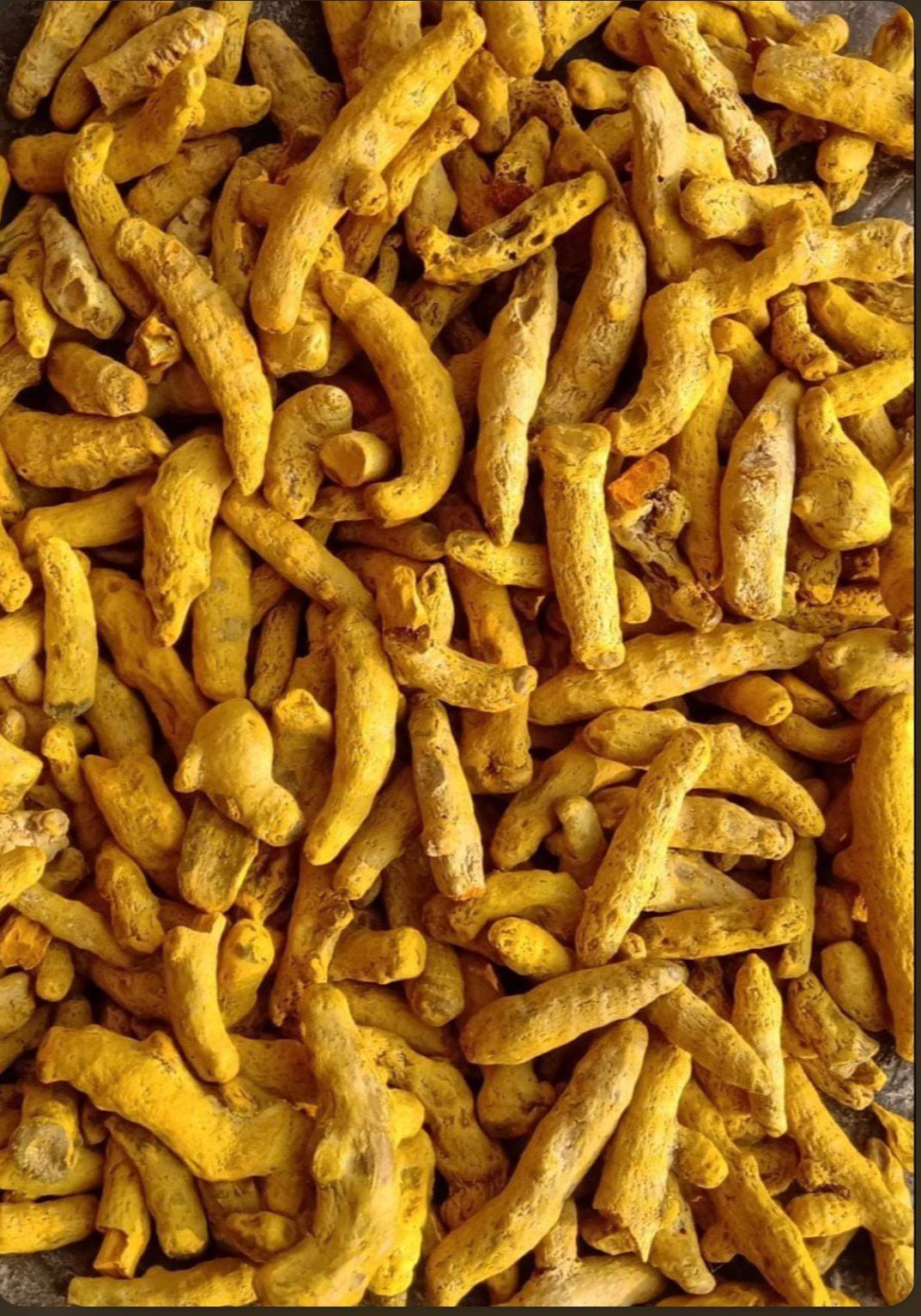 Dry Turmeric Double Polish