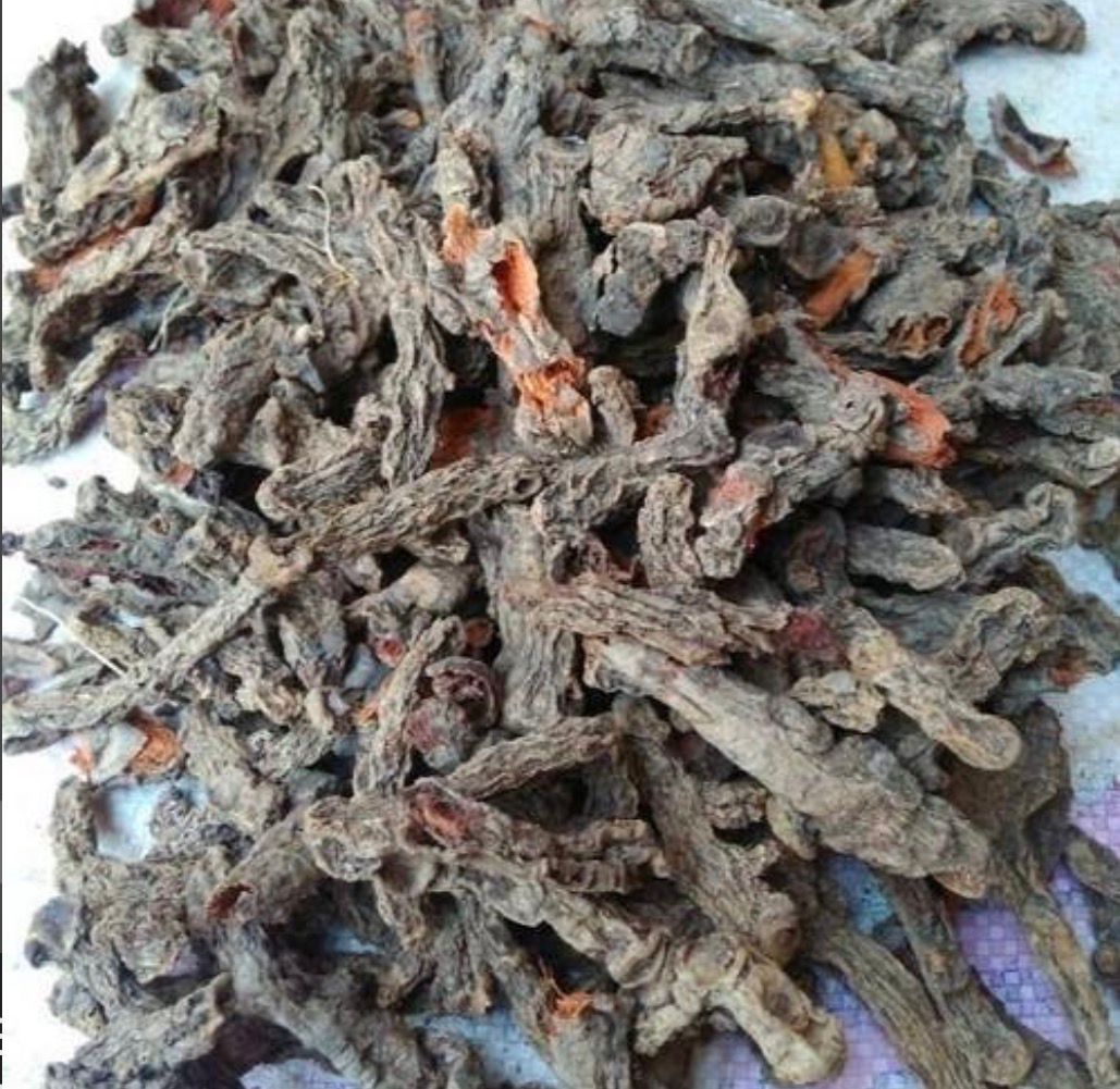 Turmeric Mother Rhizome